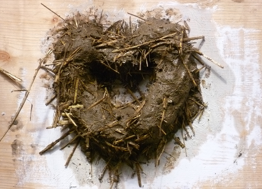 cob heart